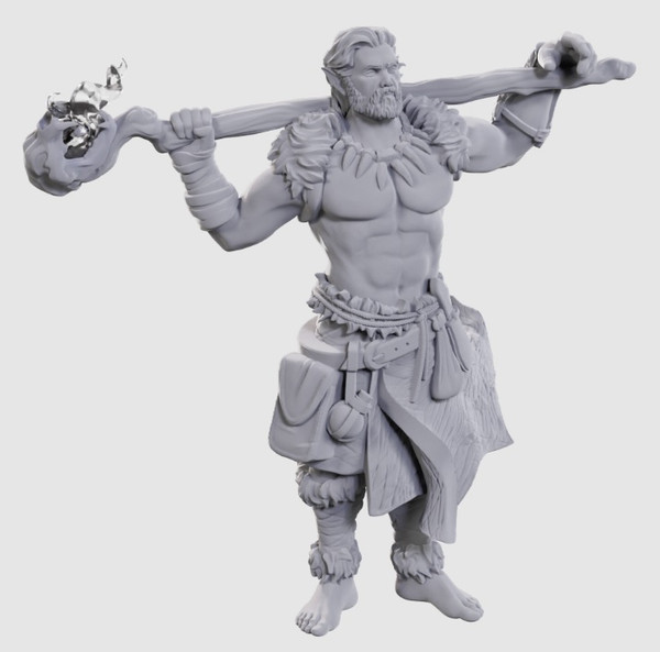 RPG Miniatures: Adventurers - Nolzur's Marvelous Unpainted Minis: Archdruid & Martial Arts Adept