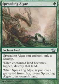 Spreading Algae [Foil] - 8th Edition