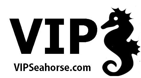 VIP Seahorse