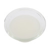 NY Cheesecake Flavor Fountain