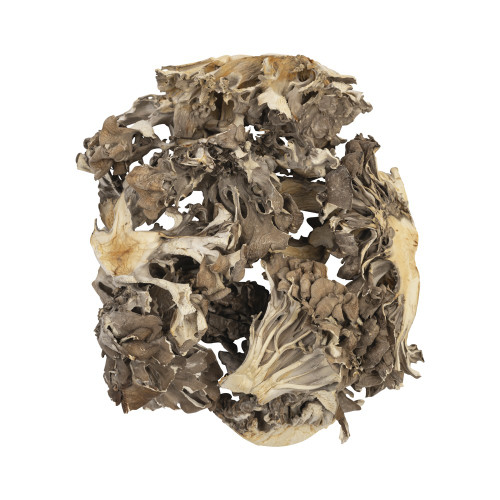 Organic Maitake Mushrooms