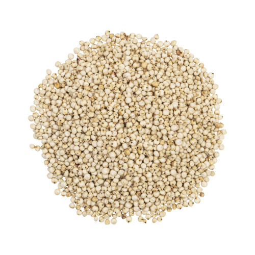 Sorghum Seed (popping)