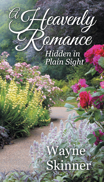 Now Available, HEAVENLY ROMANCE: HIDDEN IN PLAIN SIGHT!