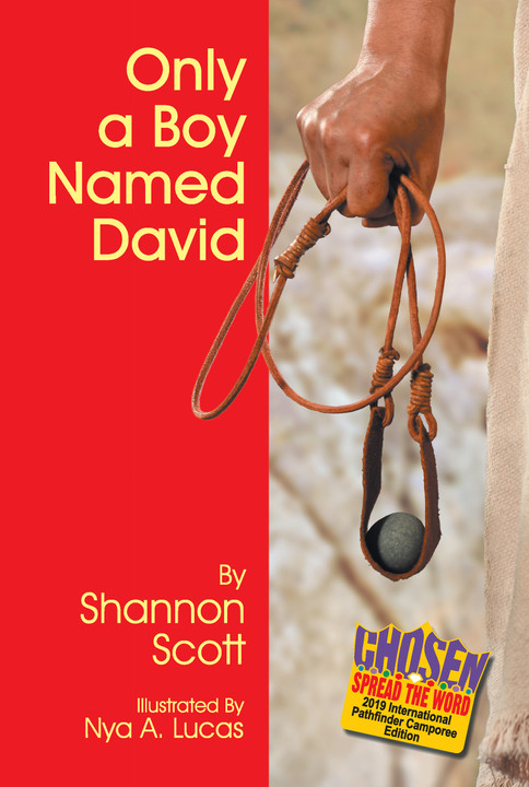 Now Available, ONLY A BOY NAMED DAVID!