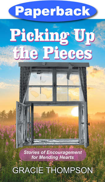 Cover of Picking Up the Pieces