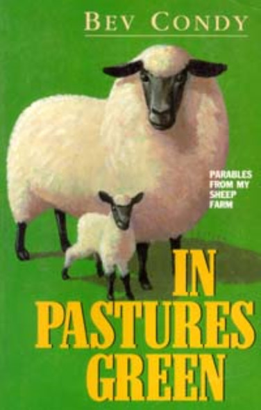 Cover photo is a representative.