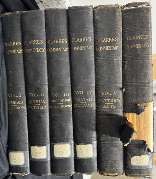 Set of 6 spines