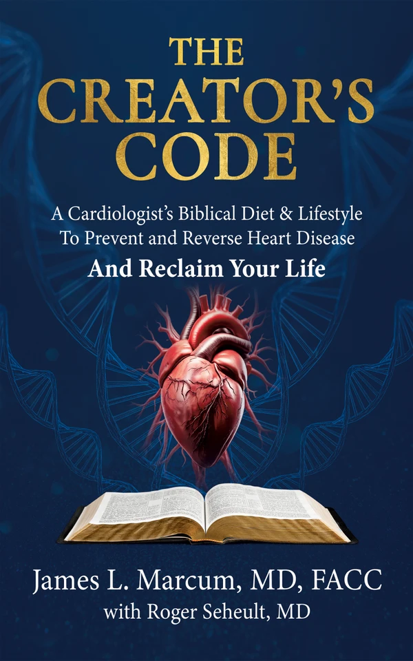 The Creator's Code front cover