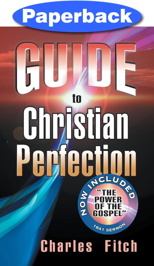 Guide to Christian Perfection / Fitch, Charles / Paperback / LSI