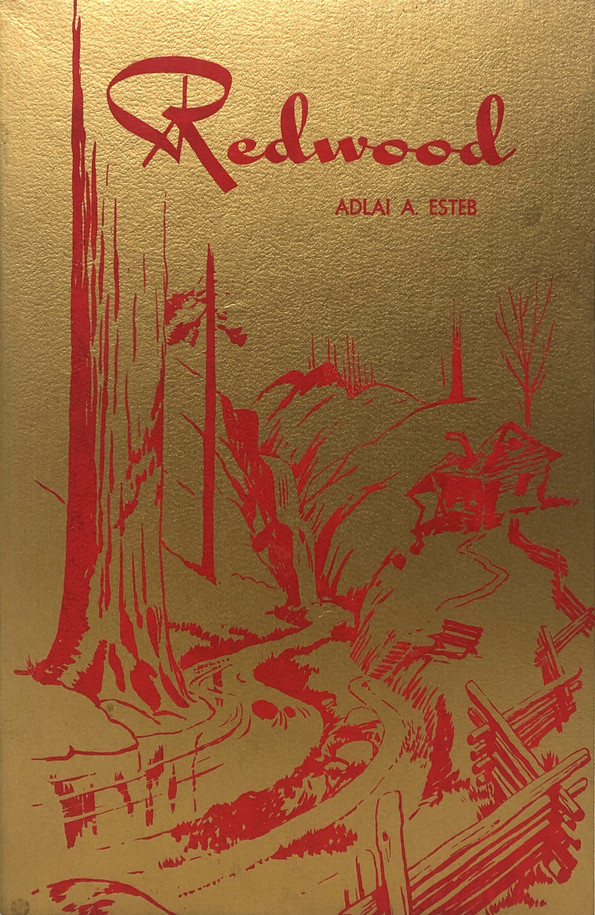 Front Cover photo is a representative.