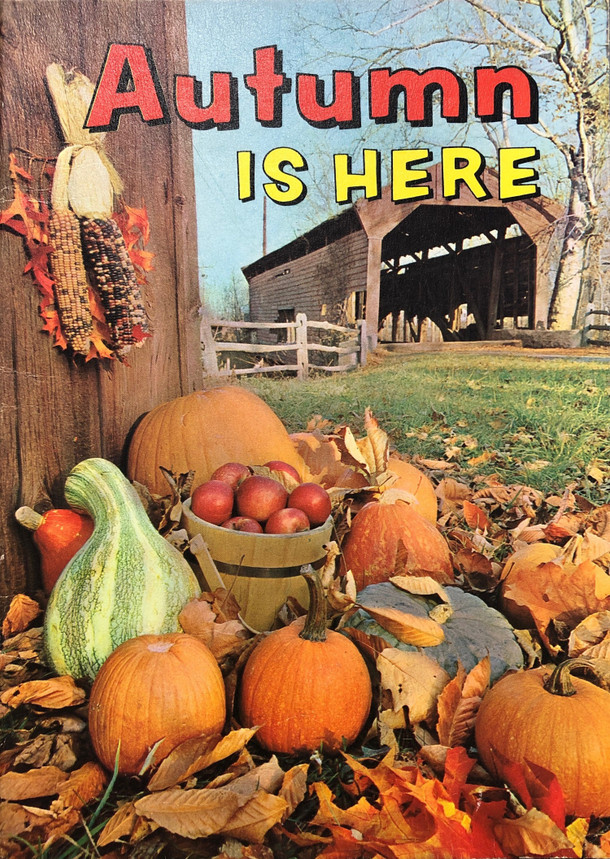 Cover photo of Autumn is Here is a representative.