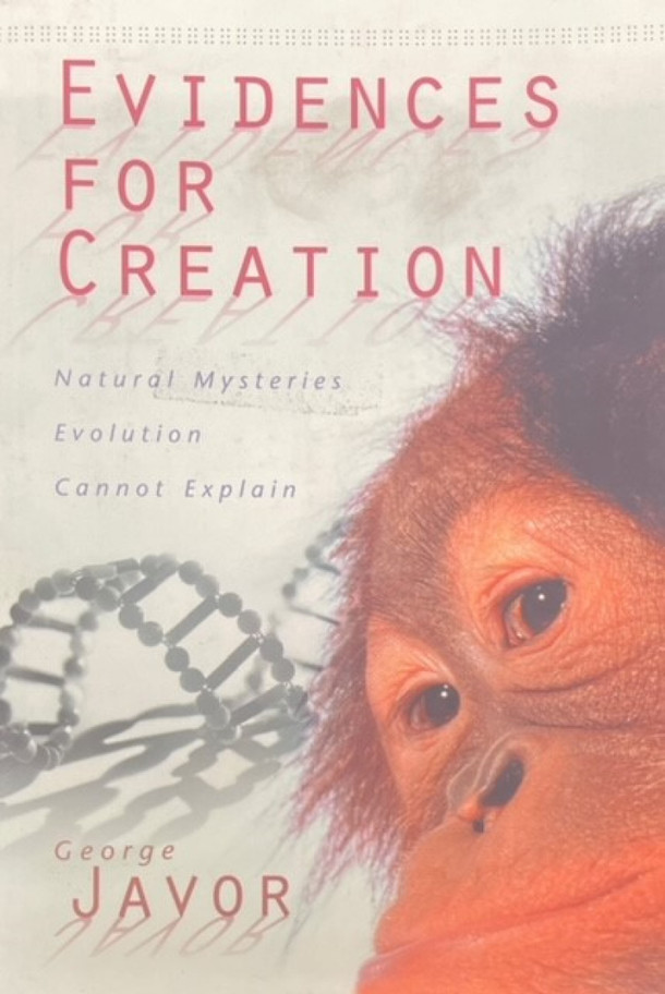 Cover photo is a representation.