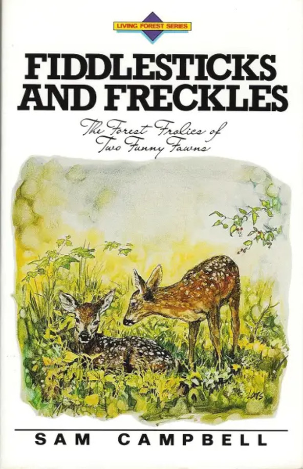 Cover image is a representative.