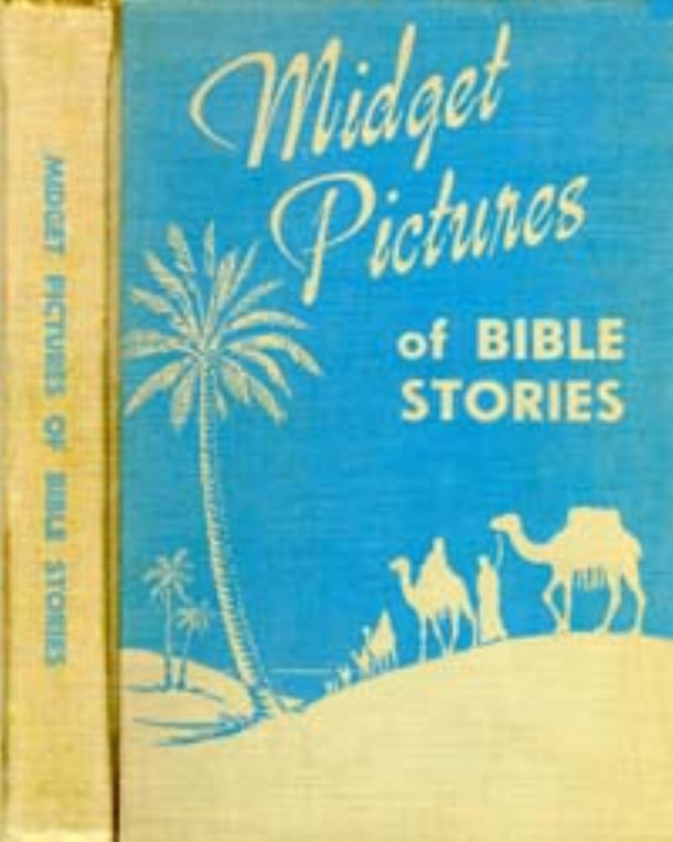 Cover image is a representative.