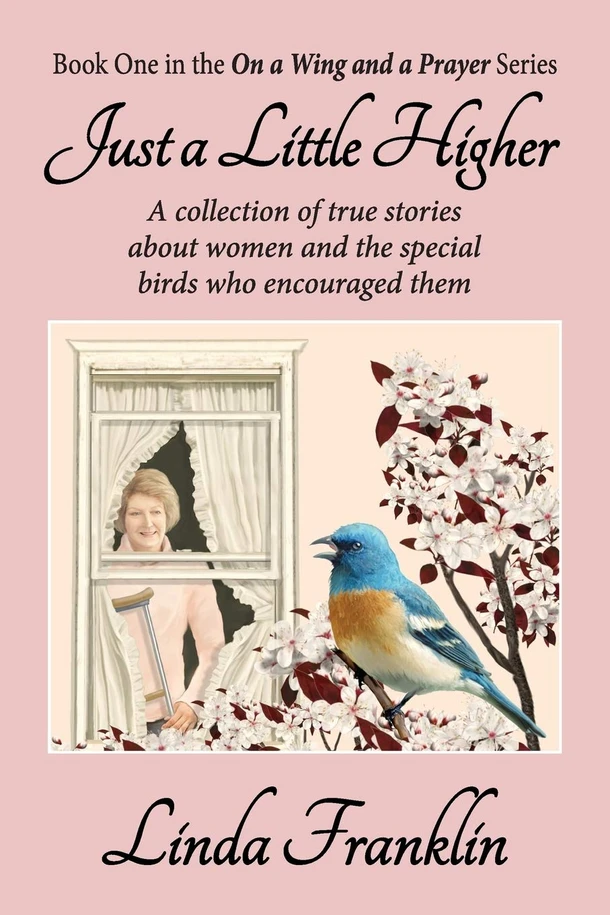 Just a Little Higher (On a Wing and a Prayer Book 1)