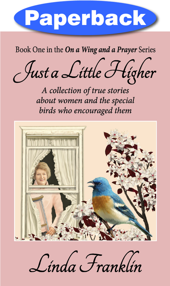 Cover of Just a Little Higher