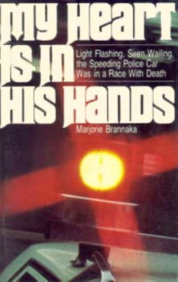 Cover image is a representative.