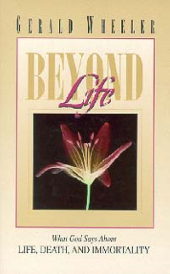 Cover photo is a representative.