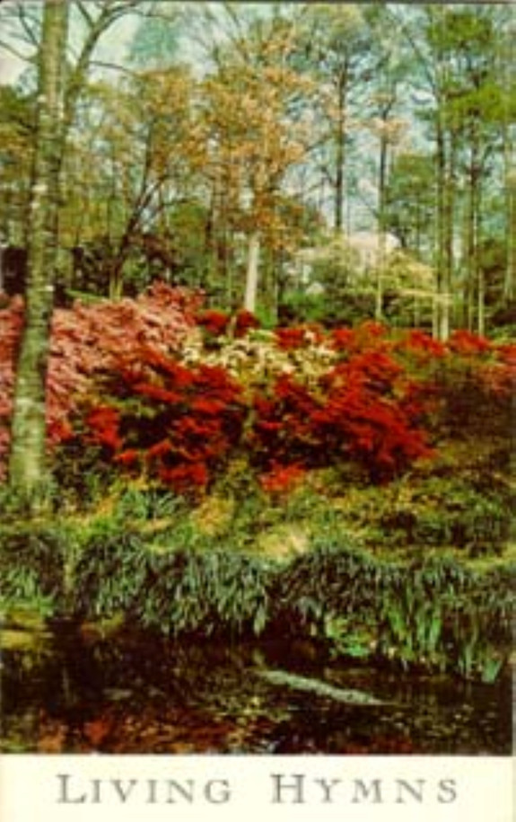 Cover image is an example.