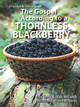 Gospel According to a Thornless Blackberry, The / McComb, Terry & Jean / (PB/2023-2023/B+/USED)