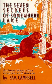 Seven Secrets of Somewhere Lake by Sam Campbell