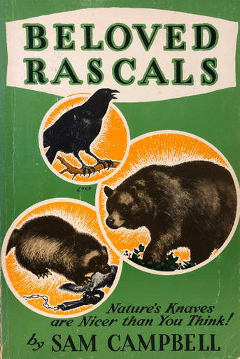 Beloved Rascals / Campbell, Sam A / (PB/1975-1975/B/USED) - TEACH ...