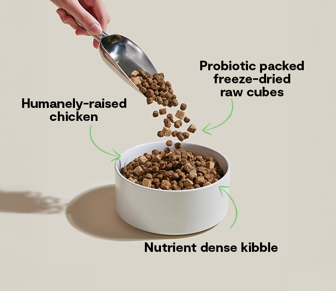 GoodGut Harvest Chicken Dog Kibble image 5