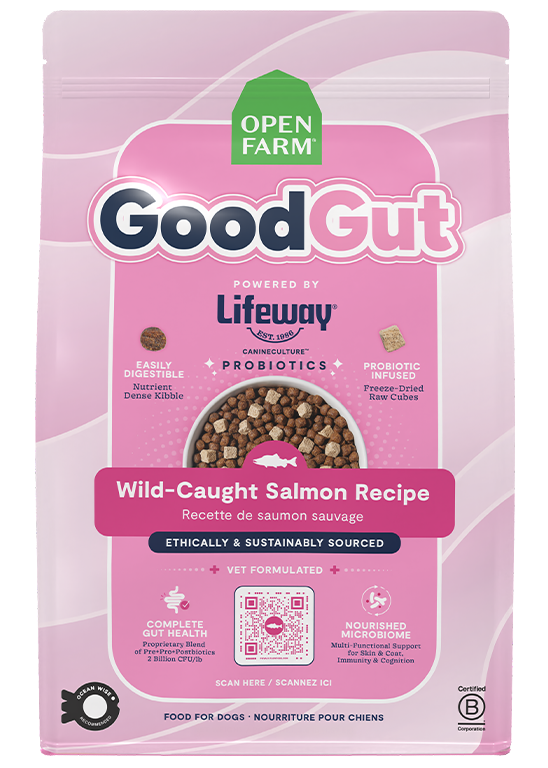 GoodGut Wild-Caught Salmon Dog Kibble image 1