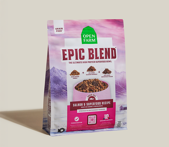 Epic Blend Salmon & Superfood Grain-Free Dog Kibble image 2