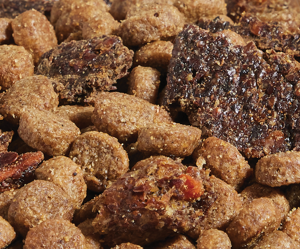 Epic Blend Salmon & Superfood Grain-Free Dog Kibble image 5