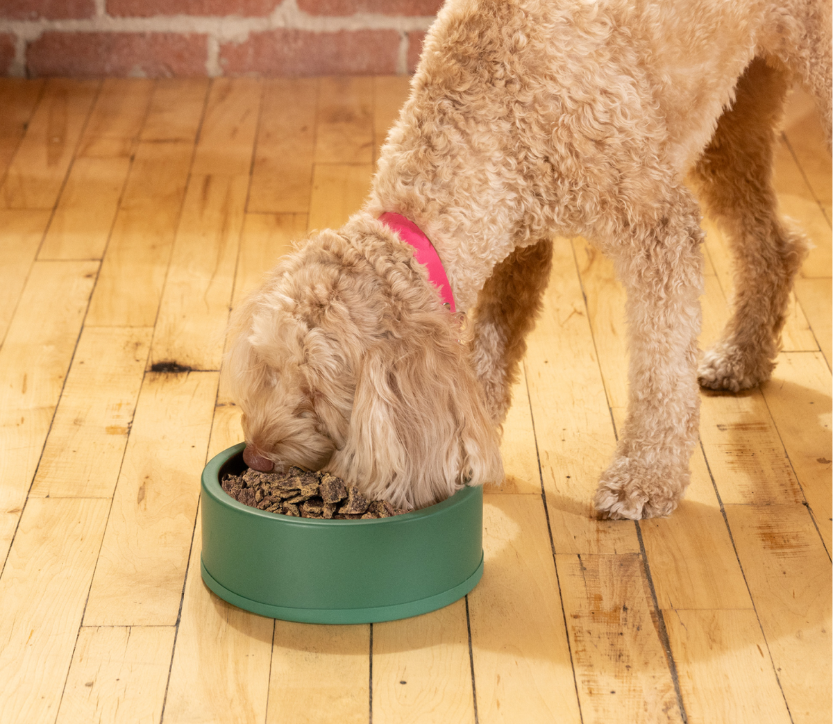 Harvest Chicken Air Dried Recipe for Dogs image 5
