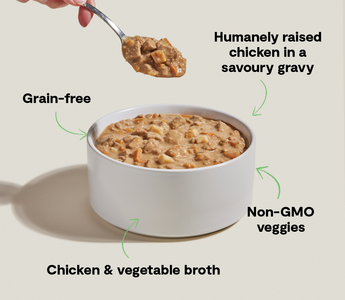 Harvest Chicken Hearty Stew Wet Dog Food image 4