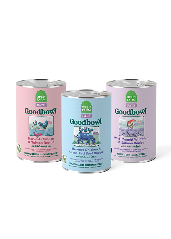 Goodbowl Variety Pack for Dogs image 1