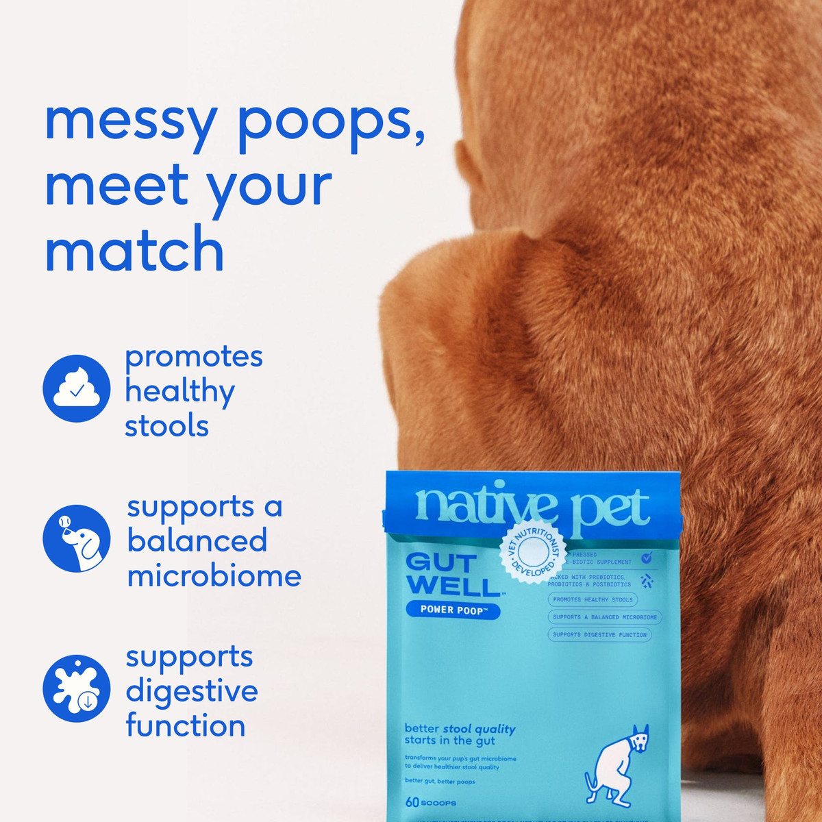 POWER POOP image 2