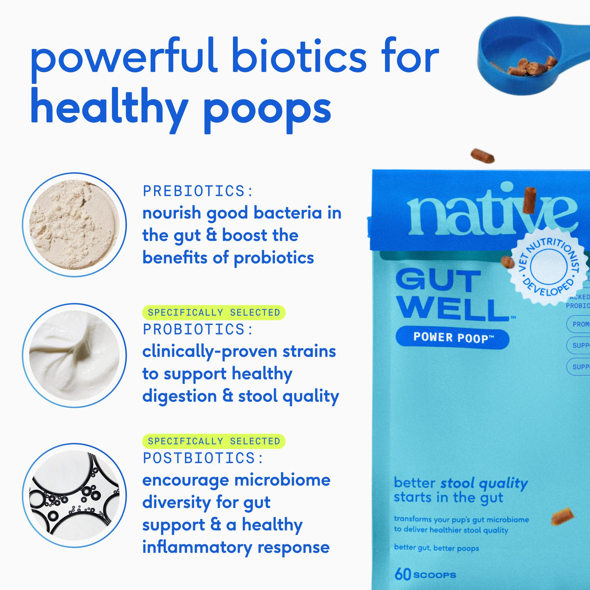 POWER POOP image 4