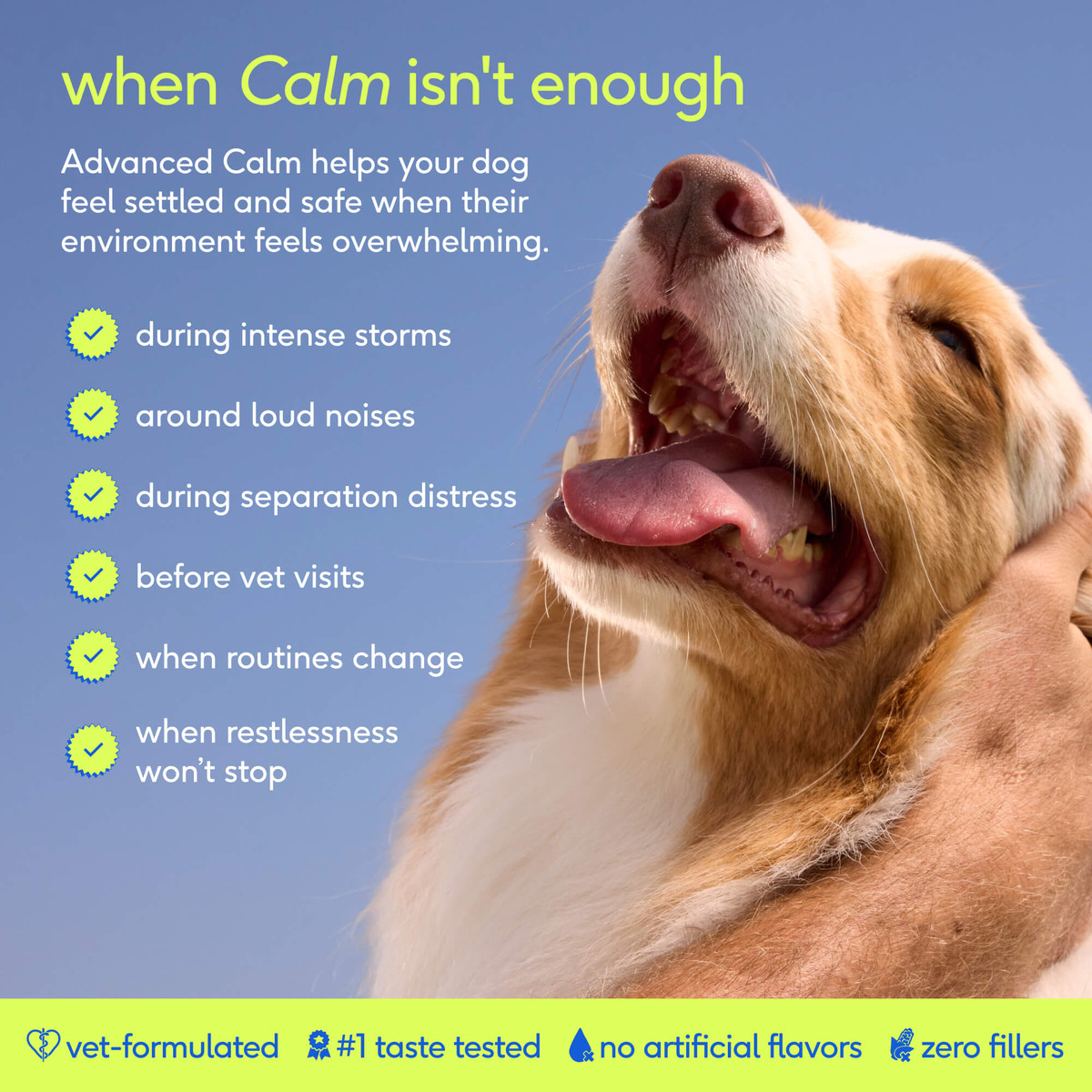 Advanced Calm Chews image 2