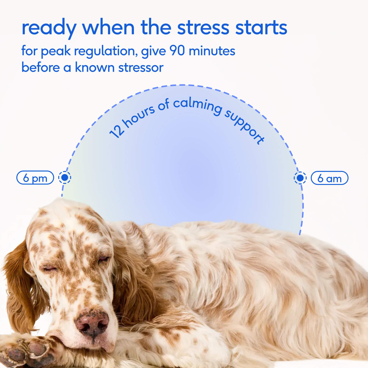 Advanced Calm Chews image 6