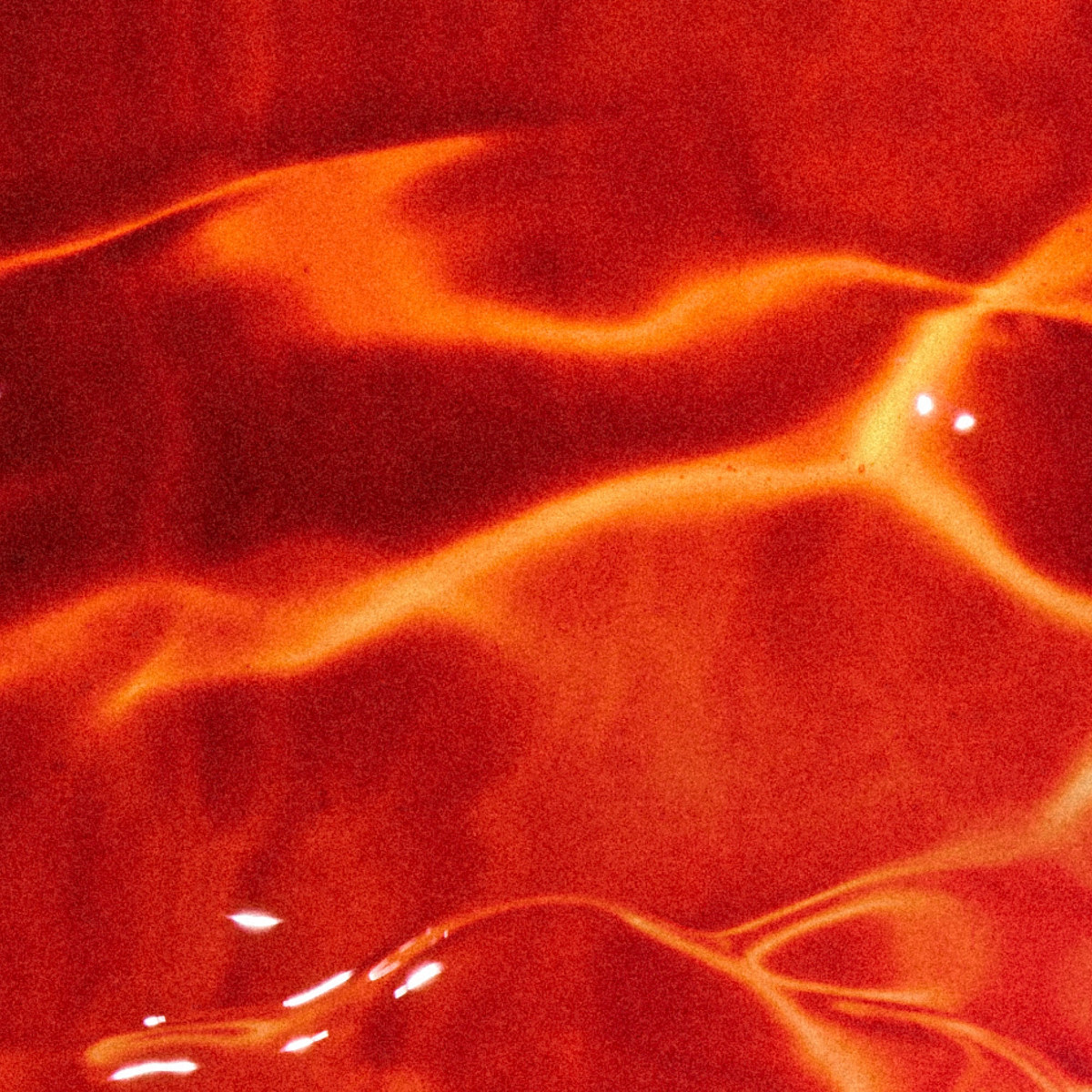 SOCKEYE SALMON OIL image 2