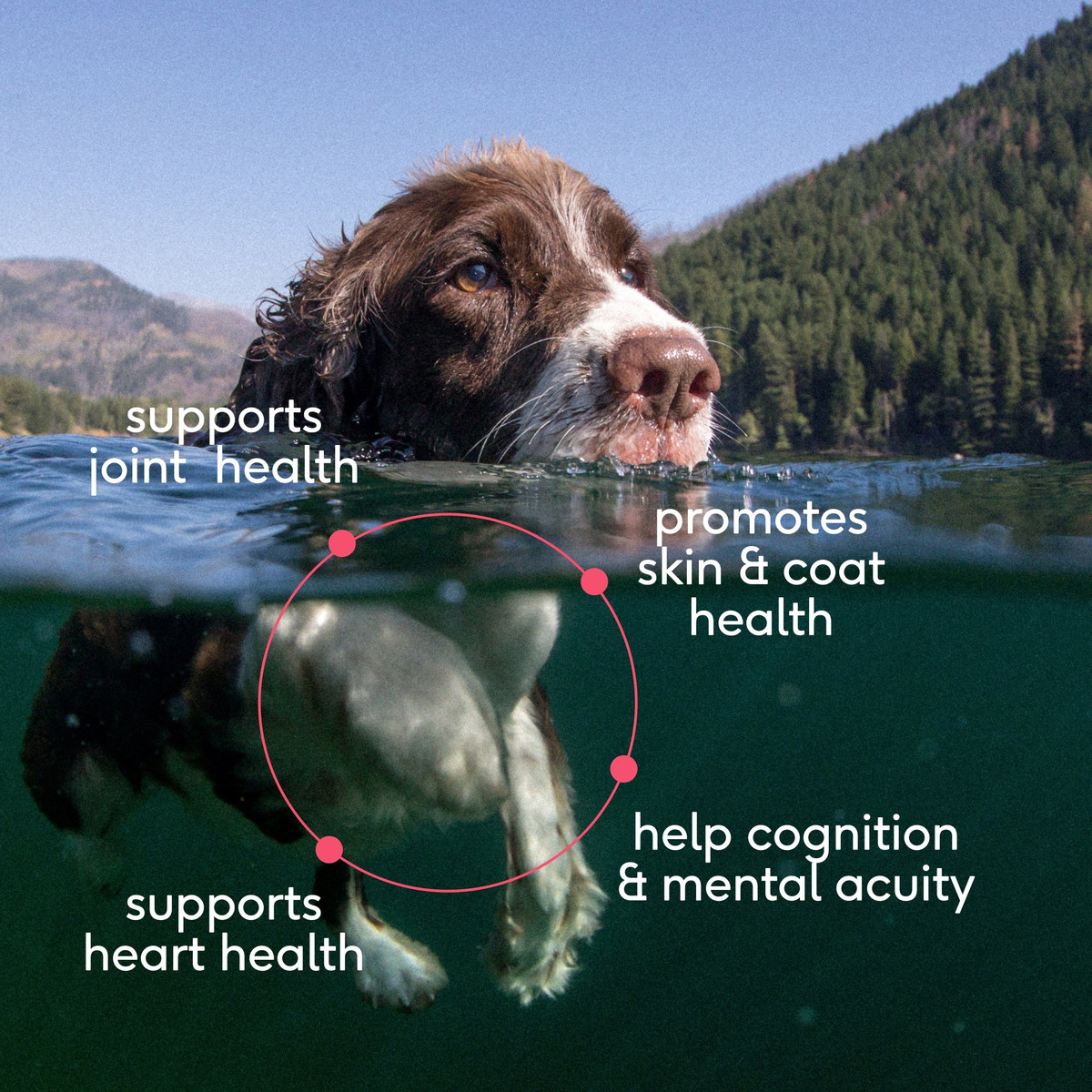 SOCKEYE SALMON OIL image 3