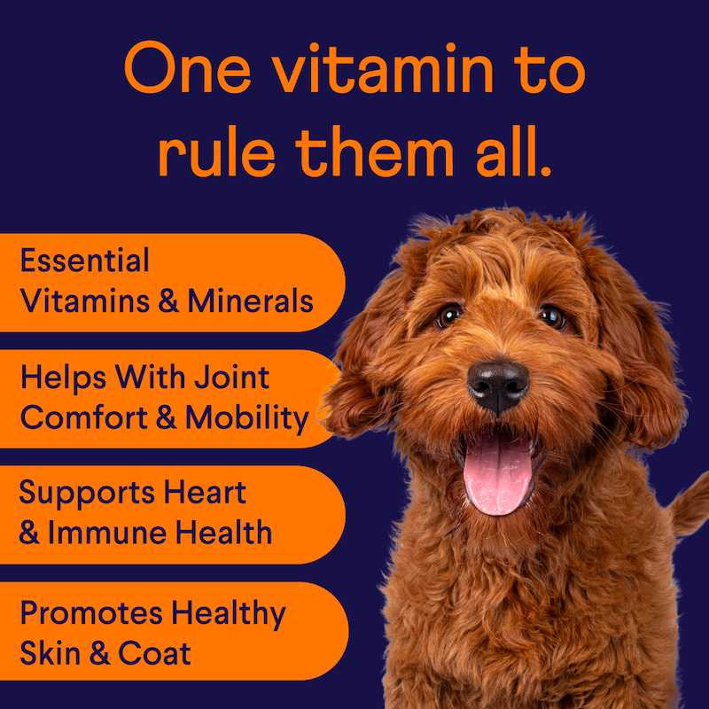 Multivitamin image 3