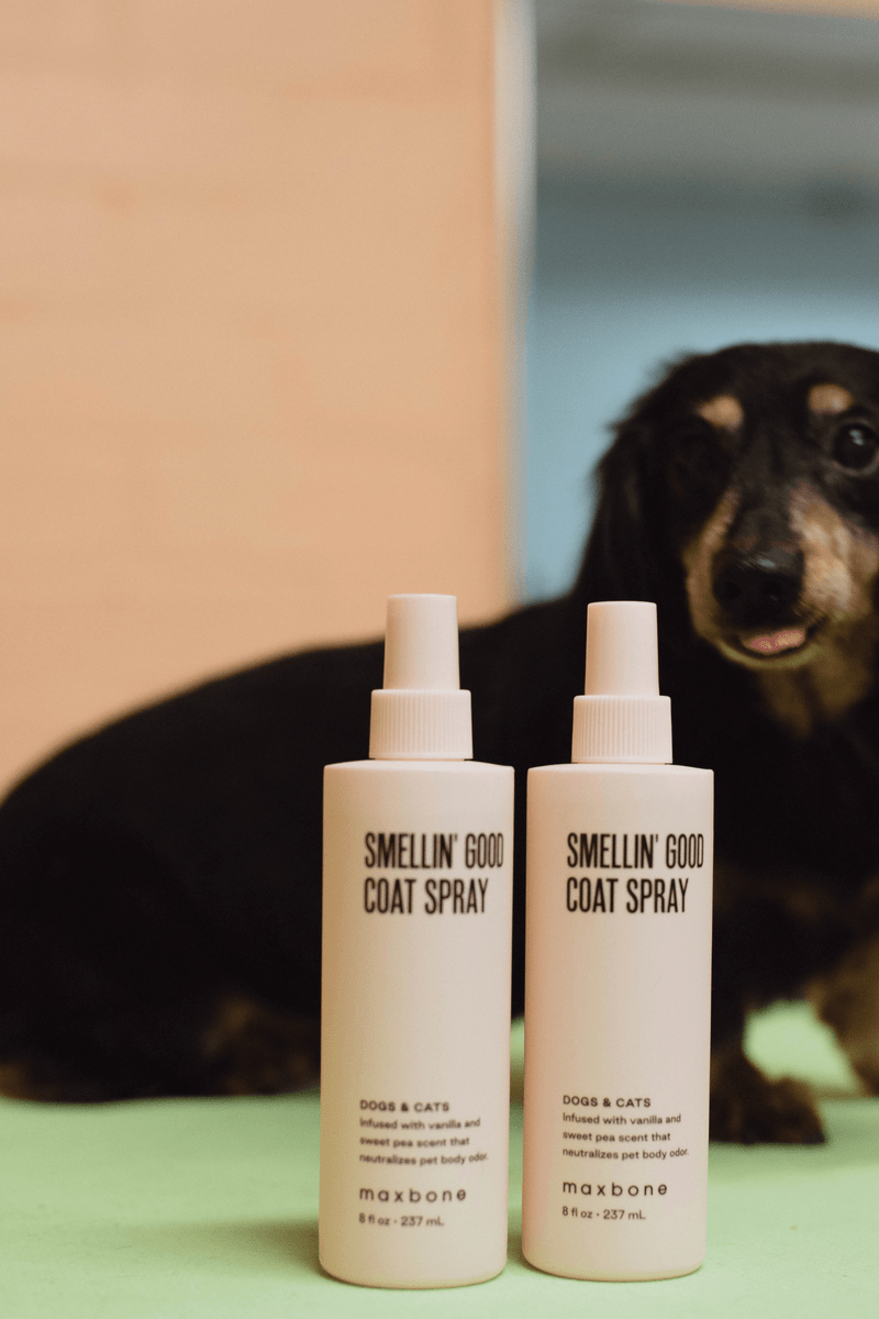 Smellin' Good Coat Spray image 4