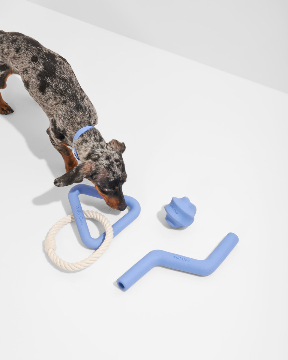 Dog Toy Kit image 3