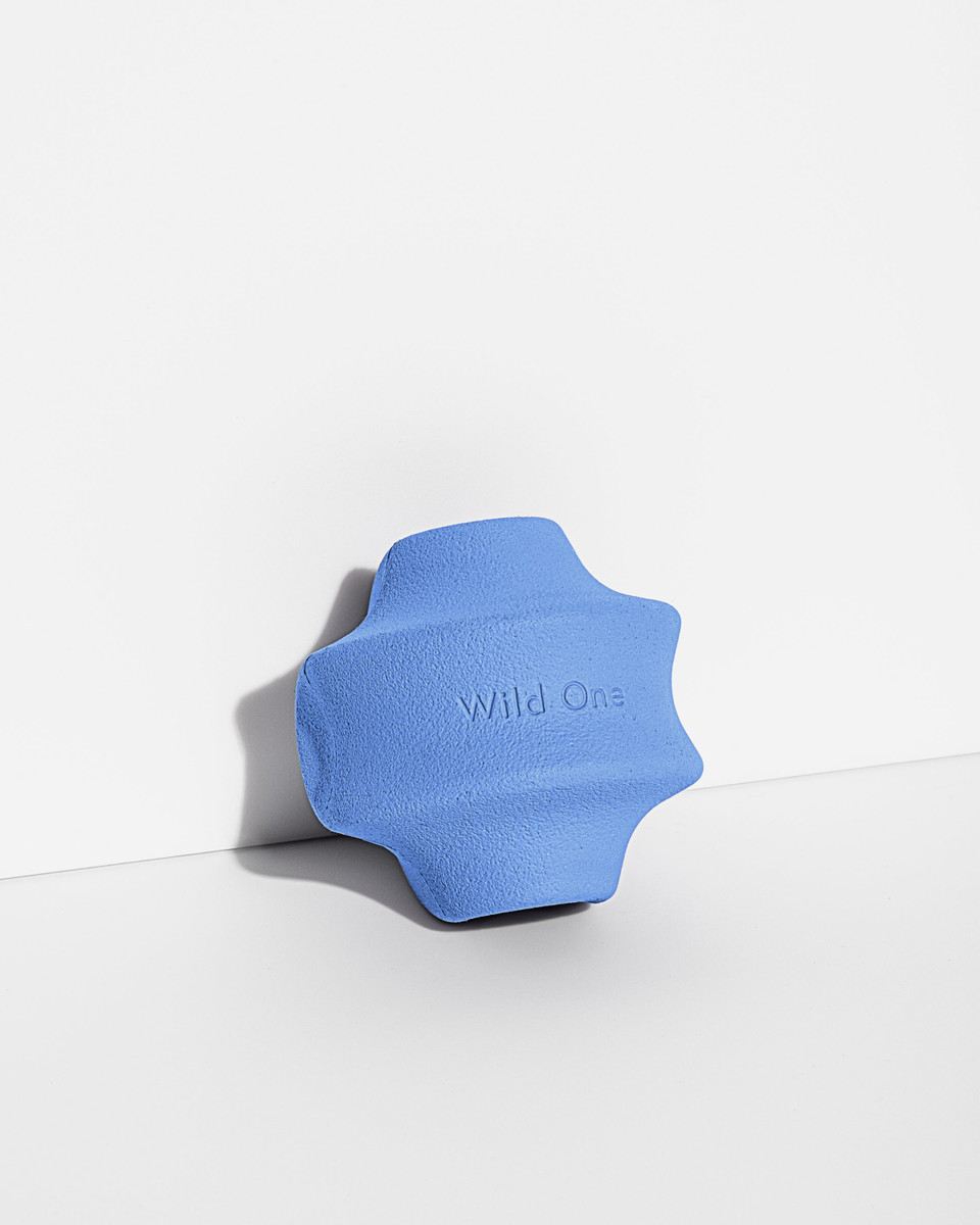 Dog Toy Kit image 6