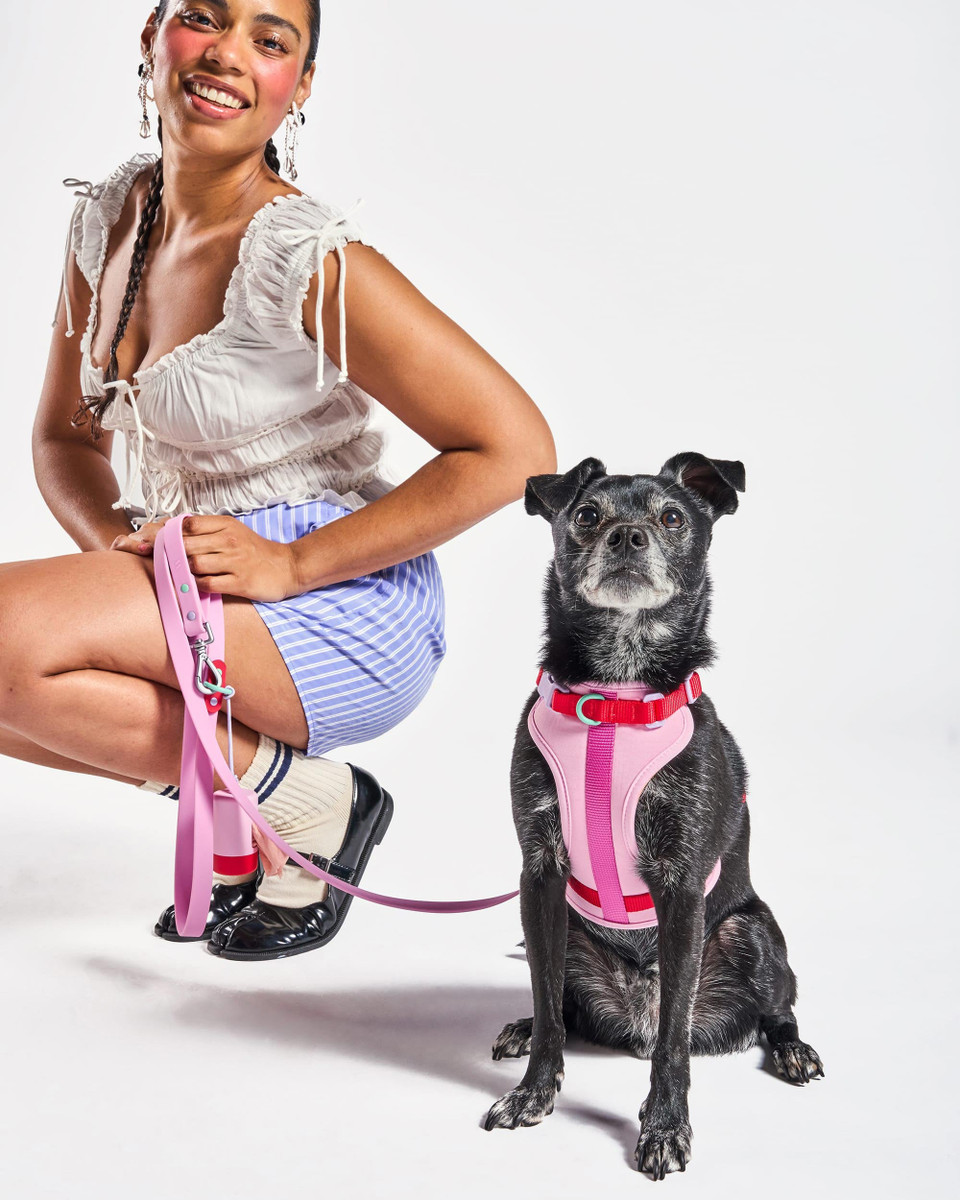 Cushioned Dog Harness image 4