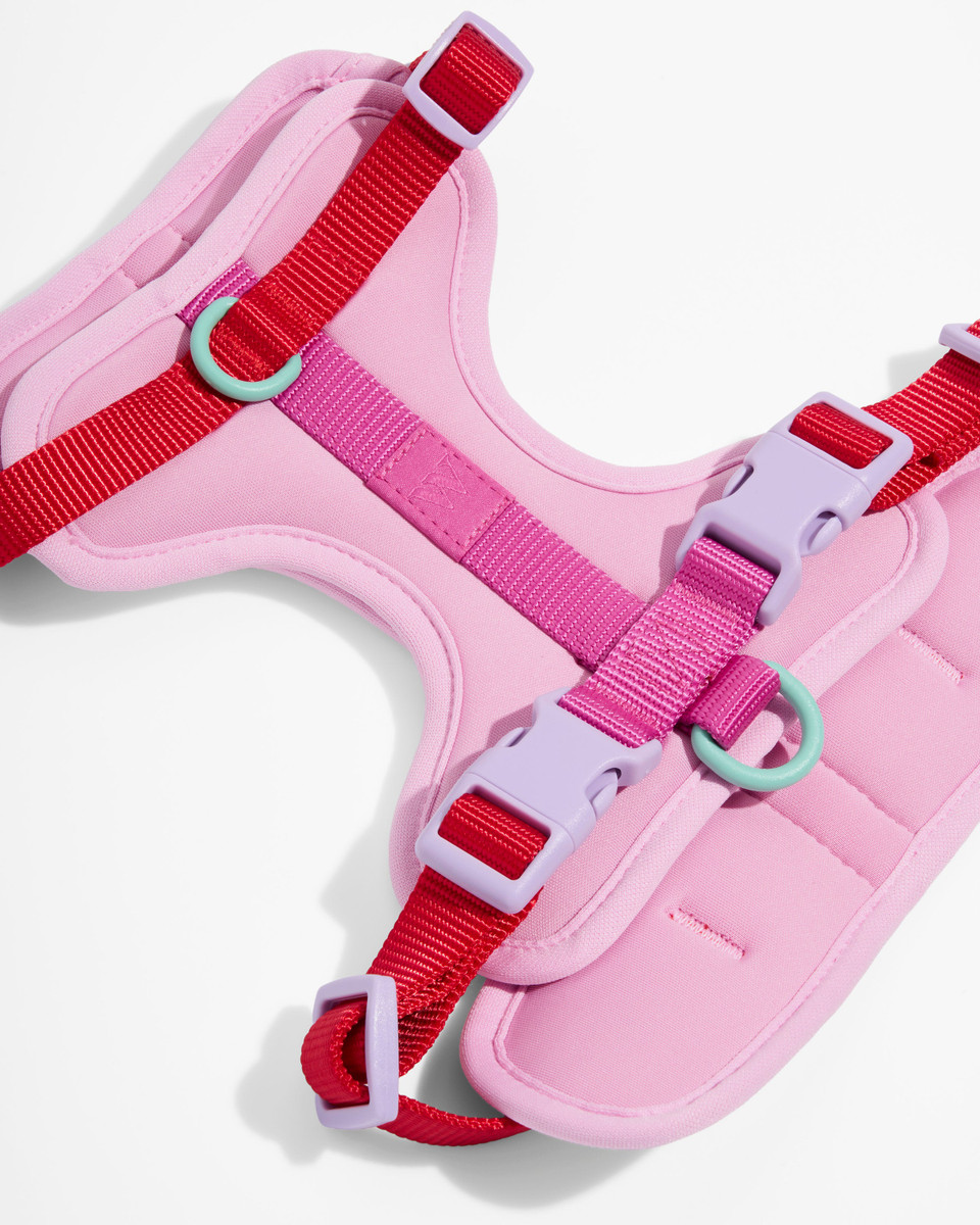 Cushioned Dog Harness image 5
