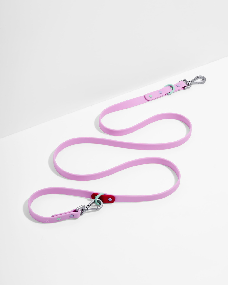Waterproof Dog Leash image 1