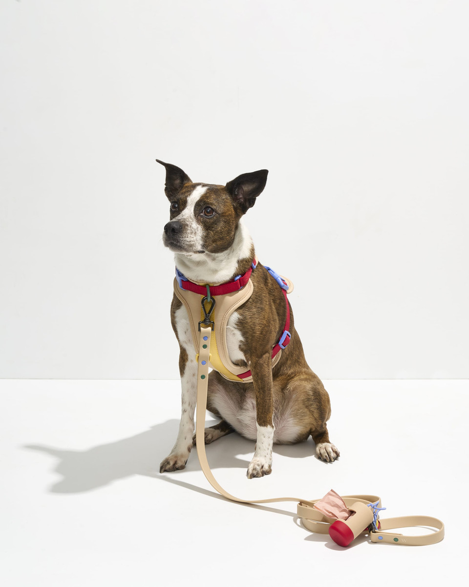 Waterproof Dog Leash image 4