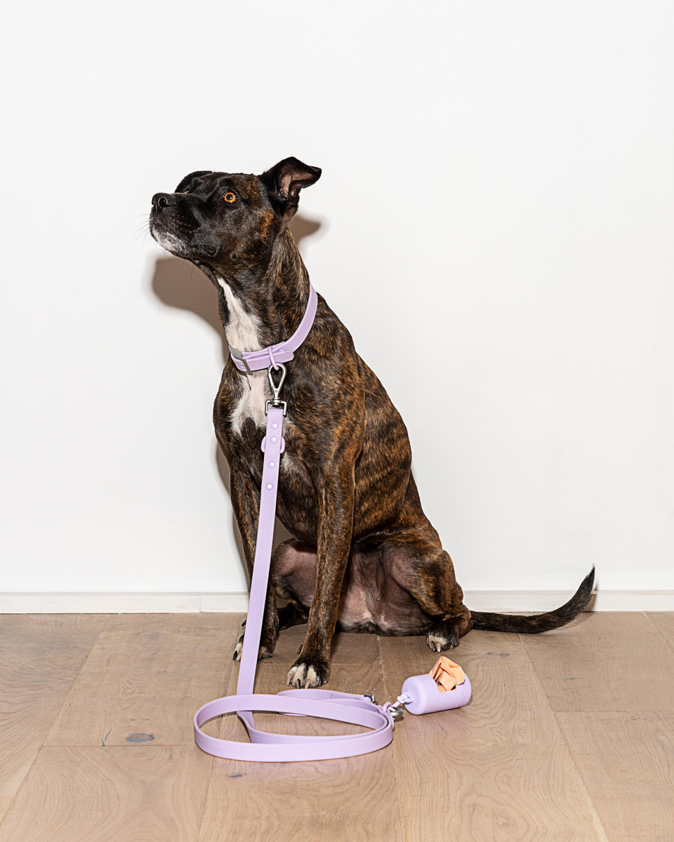 Waterproof Dog Leash image 6