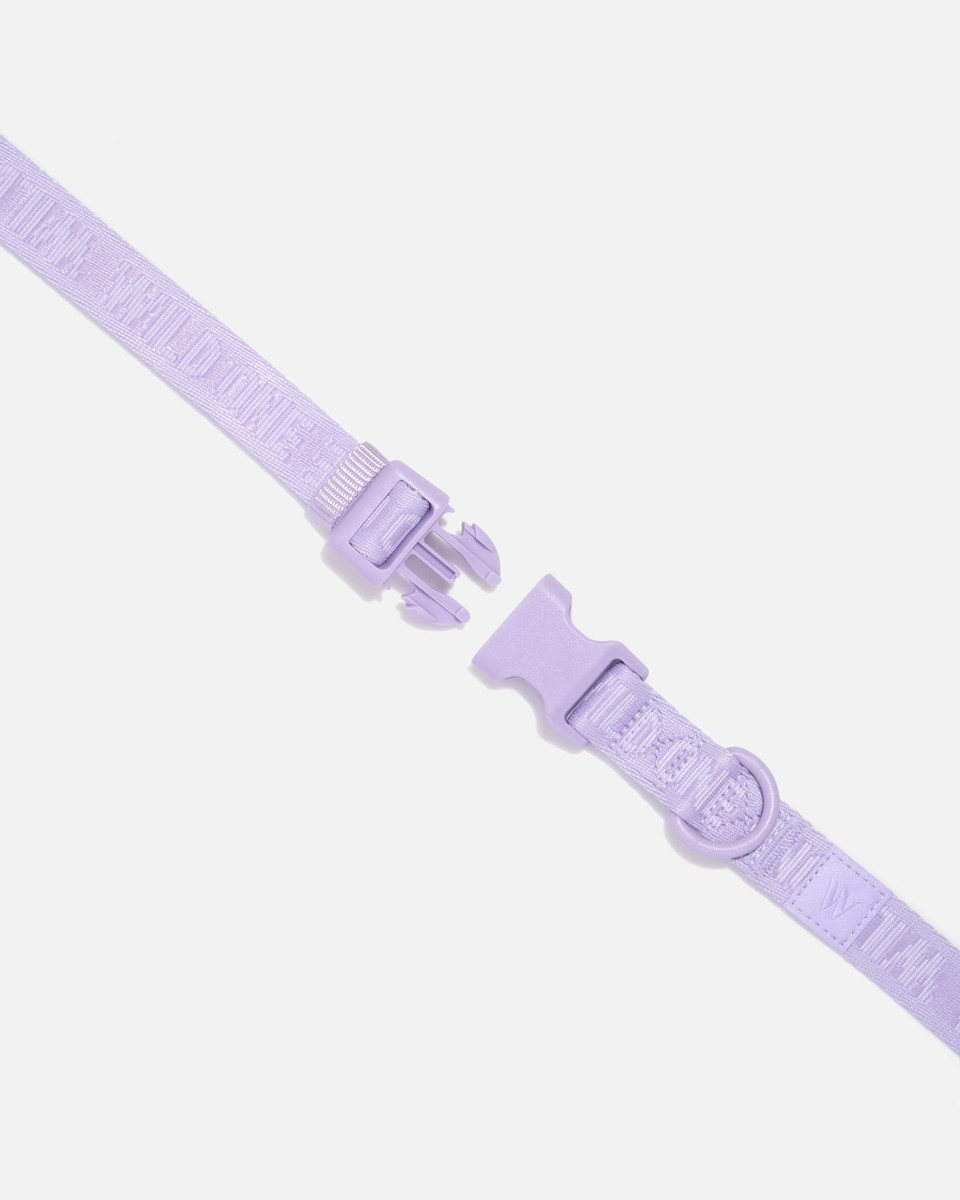 Quick-Release Dog Collar image 5