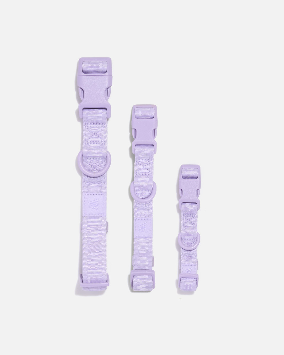Quick-Release Dog Collar image 6